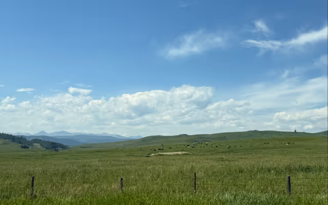 A new area of Alberta may soon be protected and it's stunning