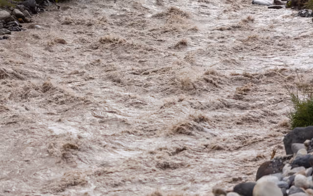 Alberta forecast to get up to 20 cm of snow and 100 mm of rain soon