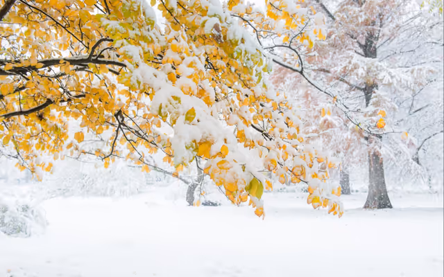 Snow forecast for parts of Alberta with nasty Thanksgiving long weekend weather