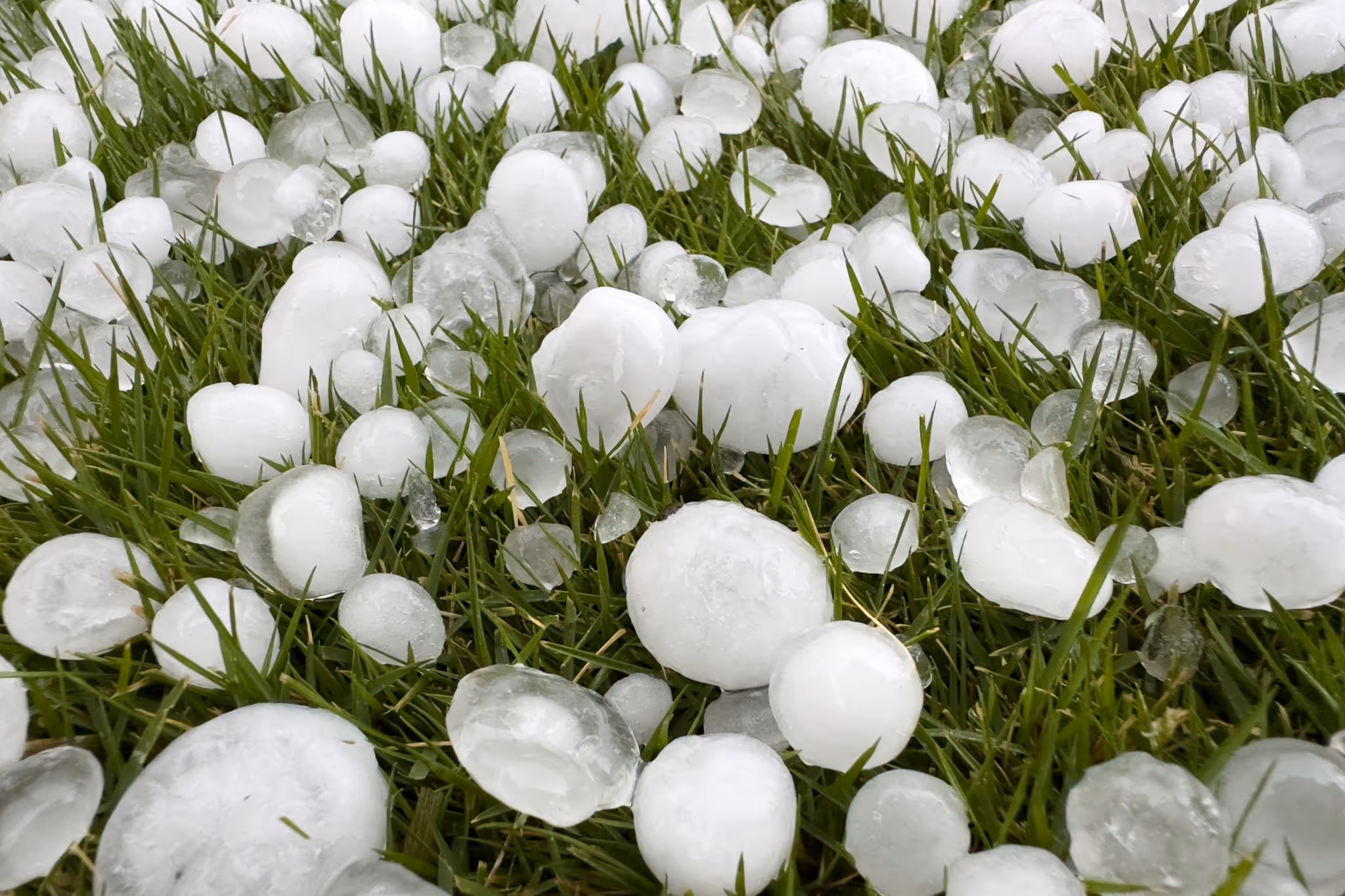 Thunderstorms with big hail eye Alberta today with the Calgary region at risk
