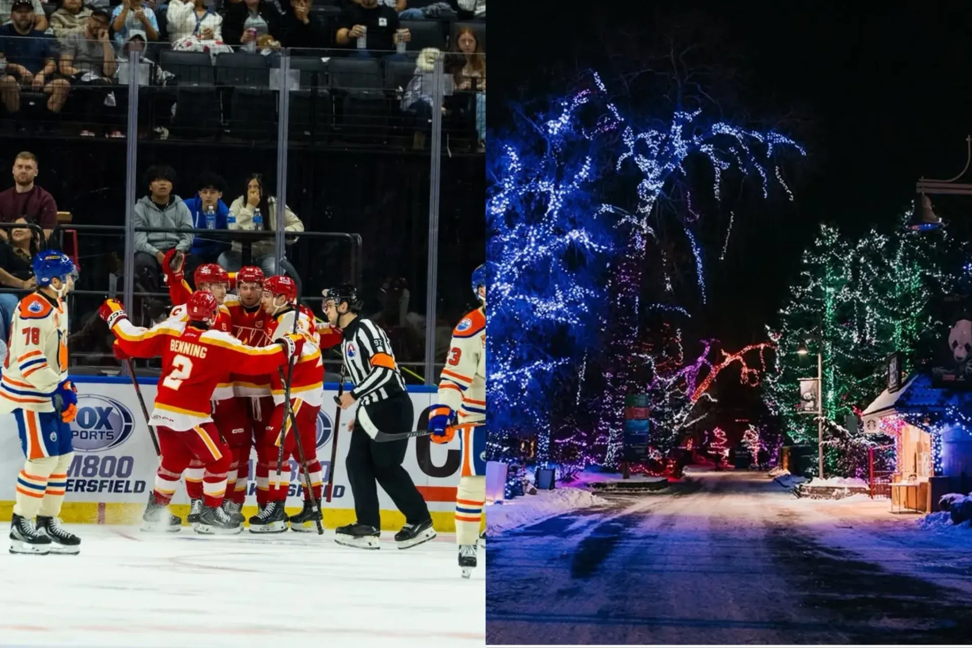 24 fantastic things to do in Calgary this November