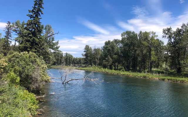 The notable history behind one of Calgary's best wildlife viewing spots