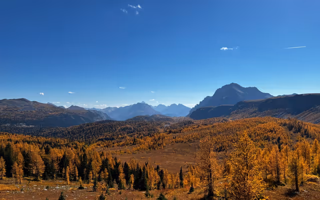 5 worthwhile spots in Alberta where you can hike to see larches this fall