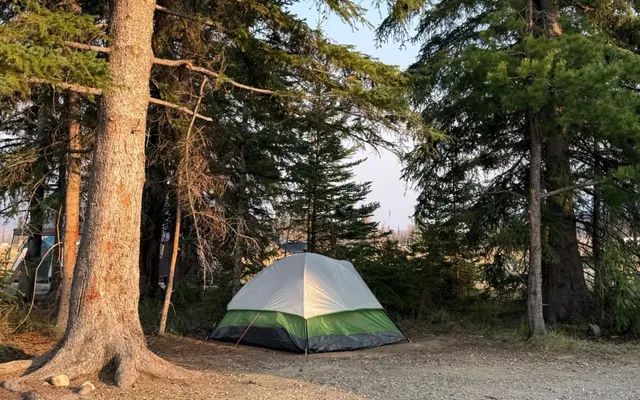 An electrified fence is going around a popular Alberta campground