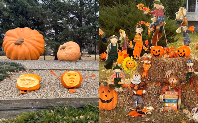 An Alberta spot goes all out for fall with serious 'Halloweentown' vibes