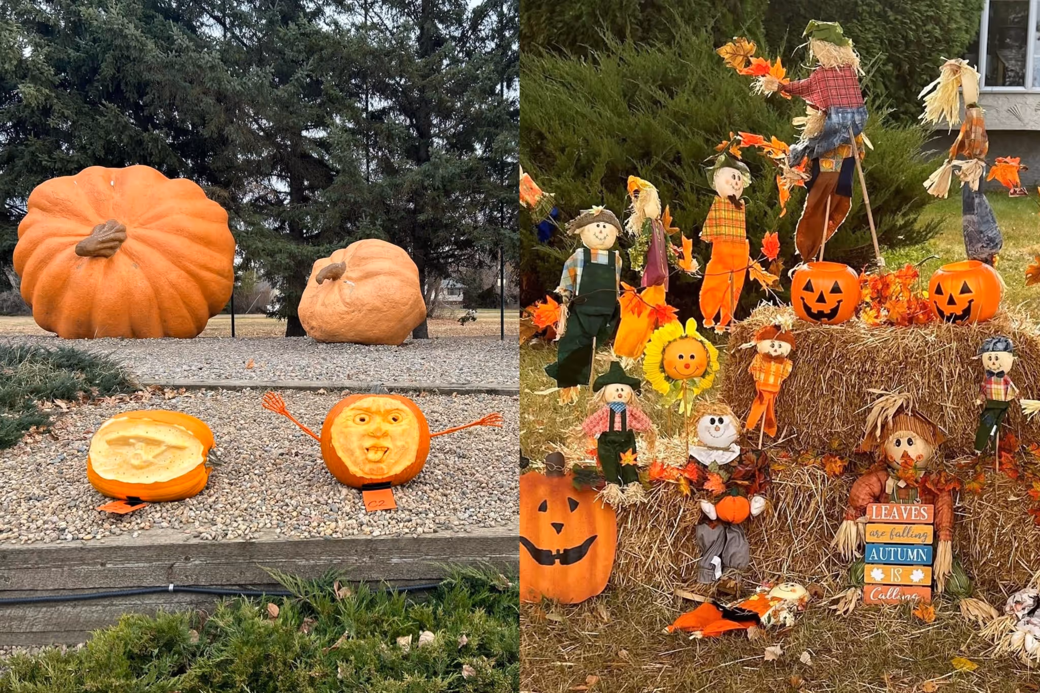 An Alberta spot goes all out for fall with serious 'Halloweentown' vibes