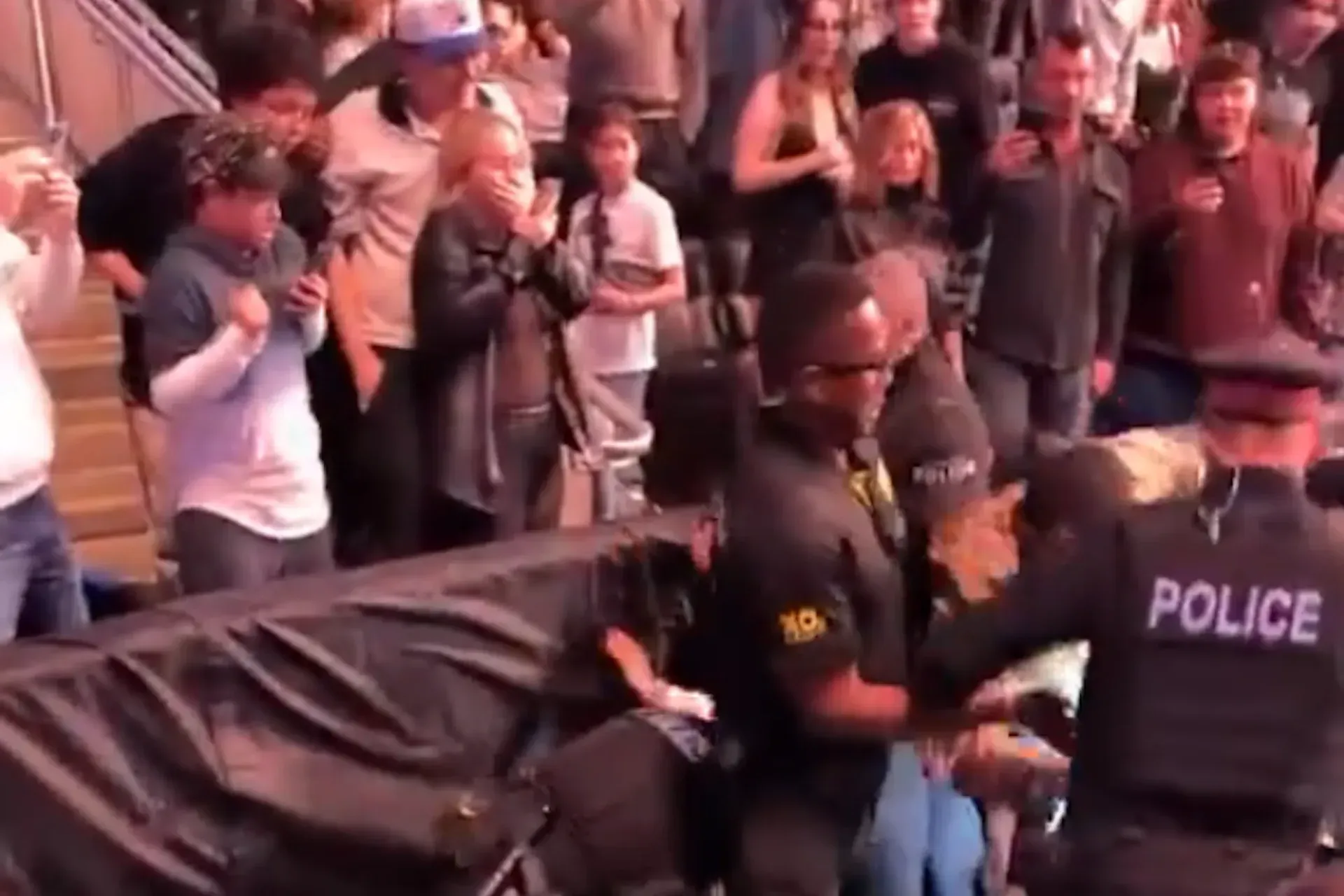 Edmonton cop suplexes UFC fan in viral video