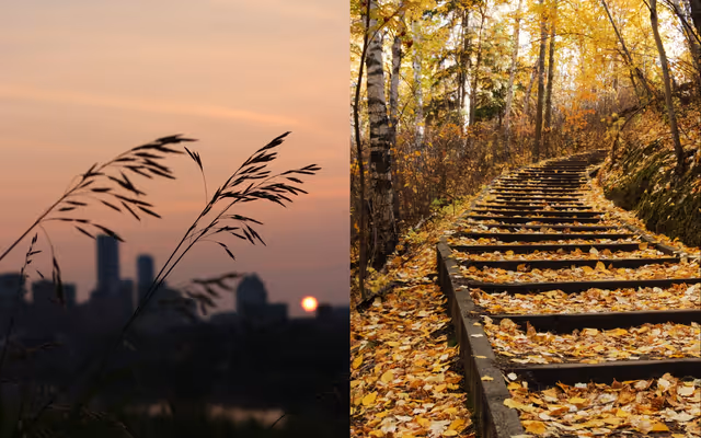 10 easy hiking spots around Edmonton for your next fall adventure