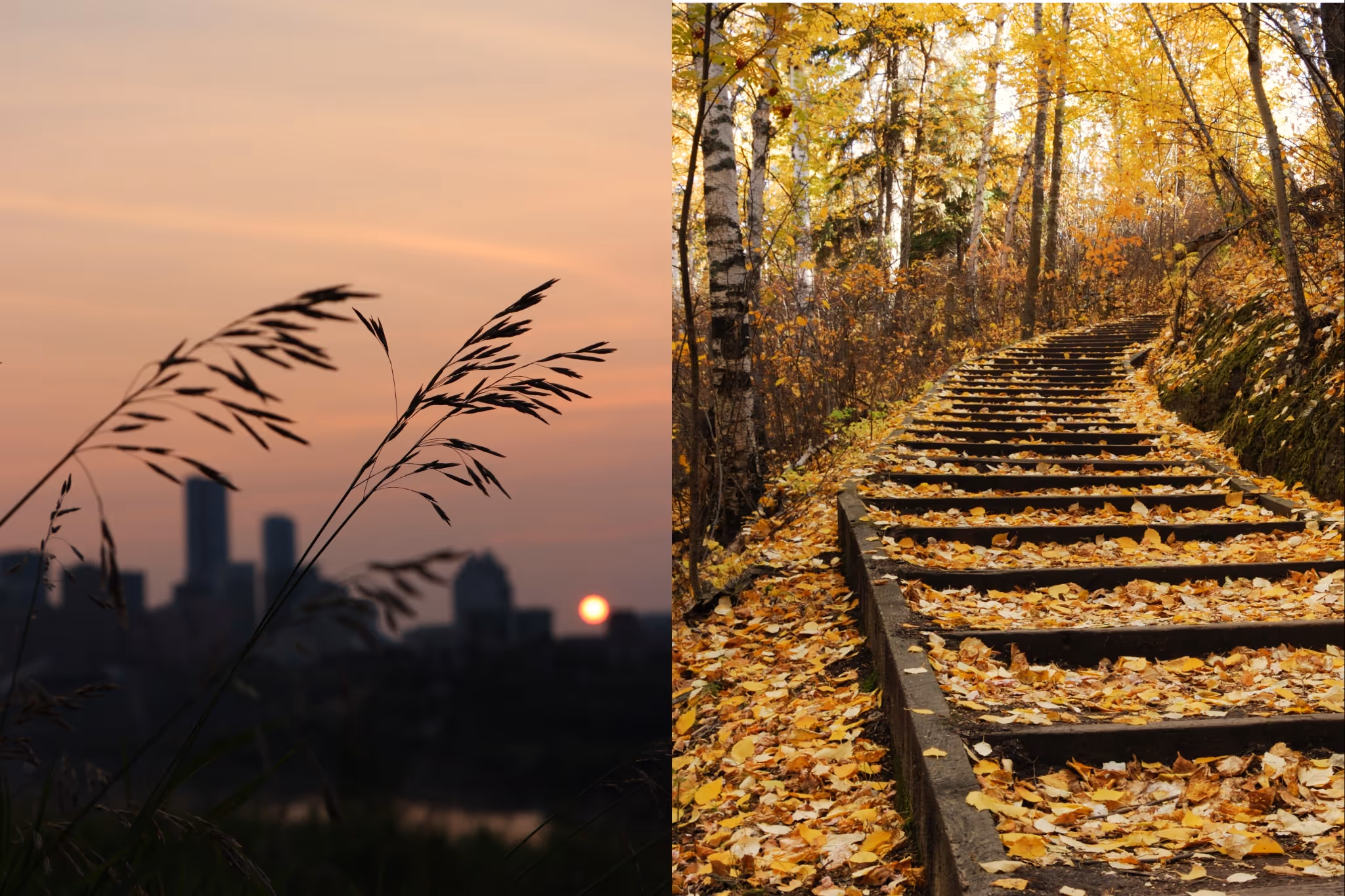 10 easy hiking spots around Edmonton for your next fall adventure