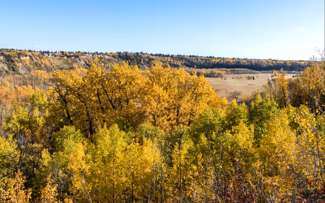 Makeover of a huge Edmonton River Valley park has been delayed