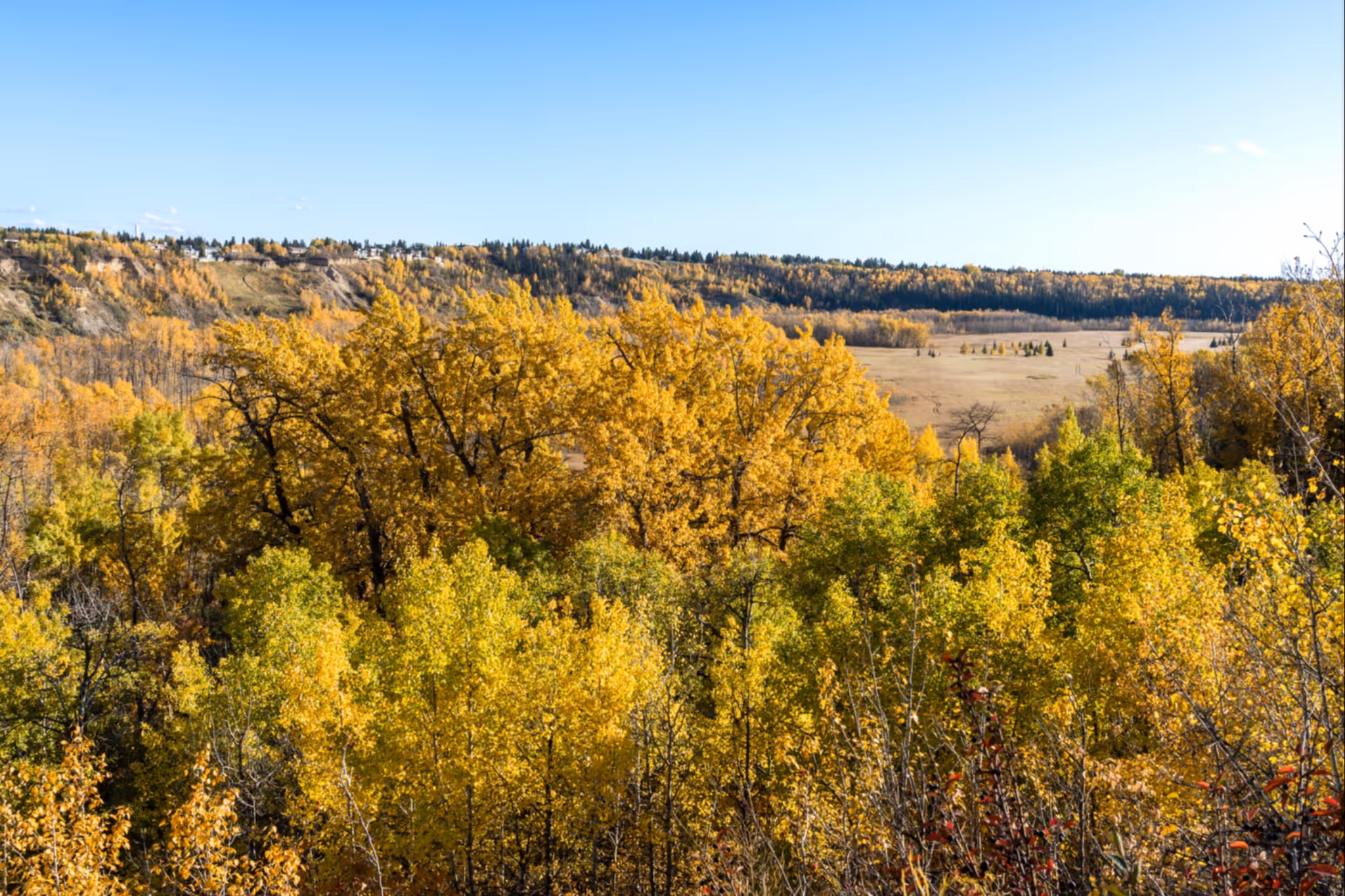 Makeover of a huge Edmonton River Valley park has been delayed