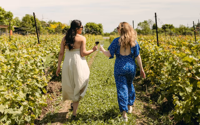 Sandbanks Winery is celebrating 25 years by giving away epic PEC getaways