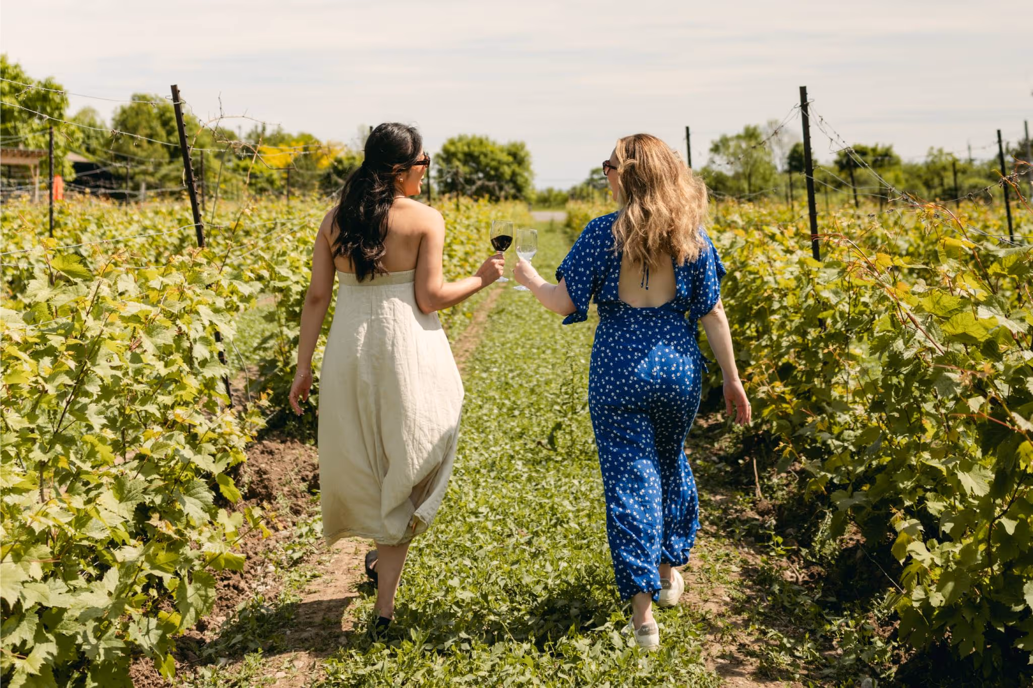 Sandbanks Winery is celebrating 25 years by giving away epic PEC getaways
