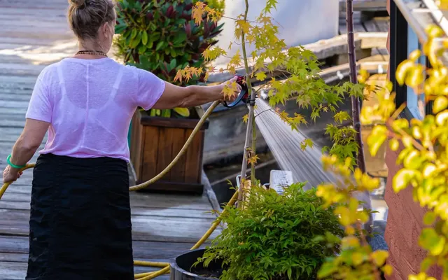 How B.C. can prepare for the 'new normal' of prolonged droughts?