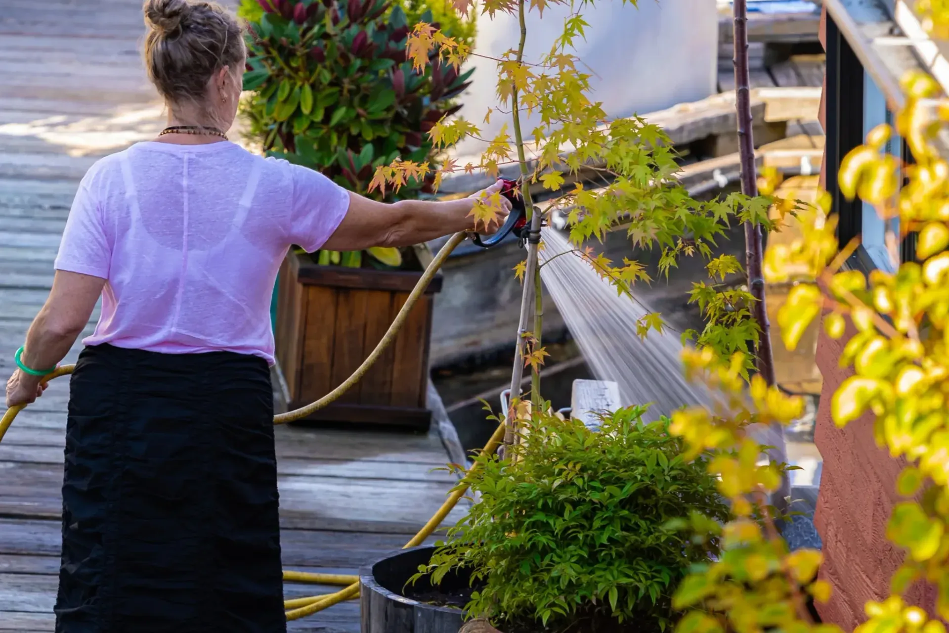How B.C. can prepare for the 'new normal' of prolonged droughts?
