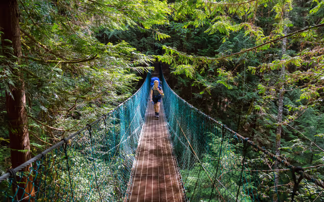 Popular 47 km coastal B.C. hike reopens this summer after storm damage closure