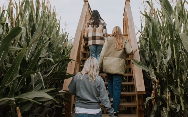 A gargantuan corn maze has opened just 60 minutes from Vancouver