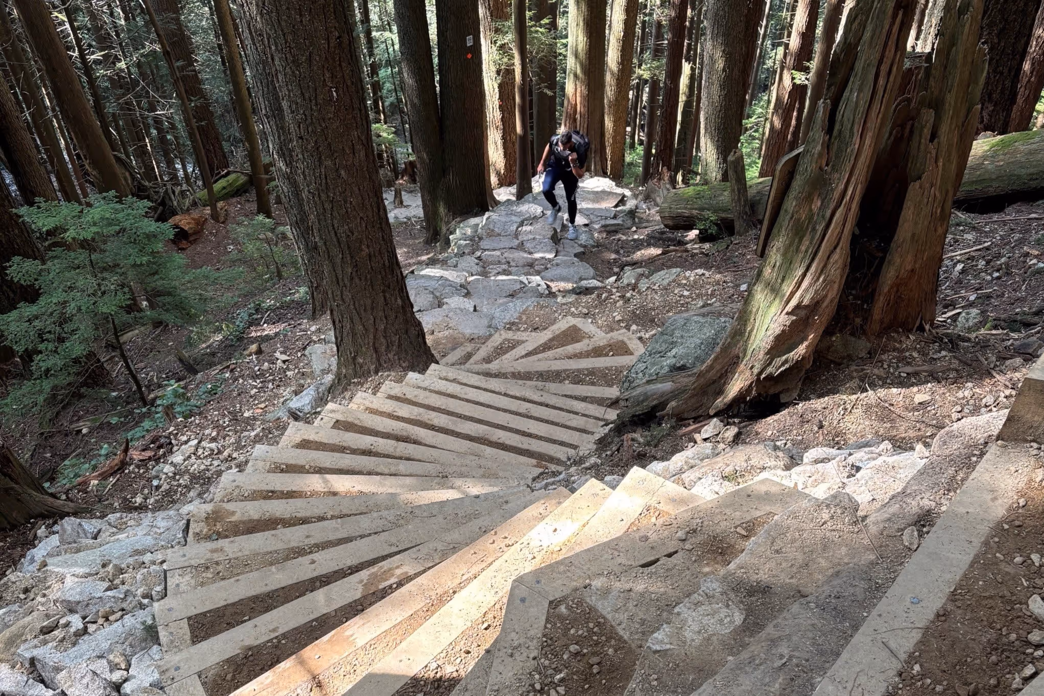 Grouse Grind soon closing for several weeks for essential maintenance