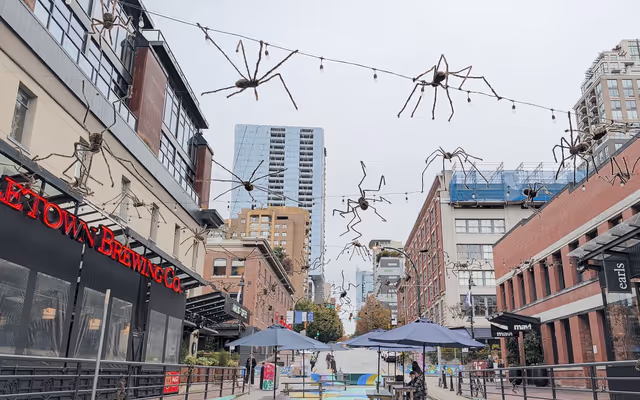 Giant hairy spiders turn Yaletown plaza into an arachnophobe's nightmare