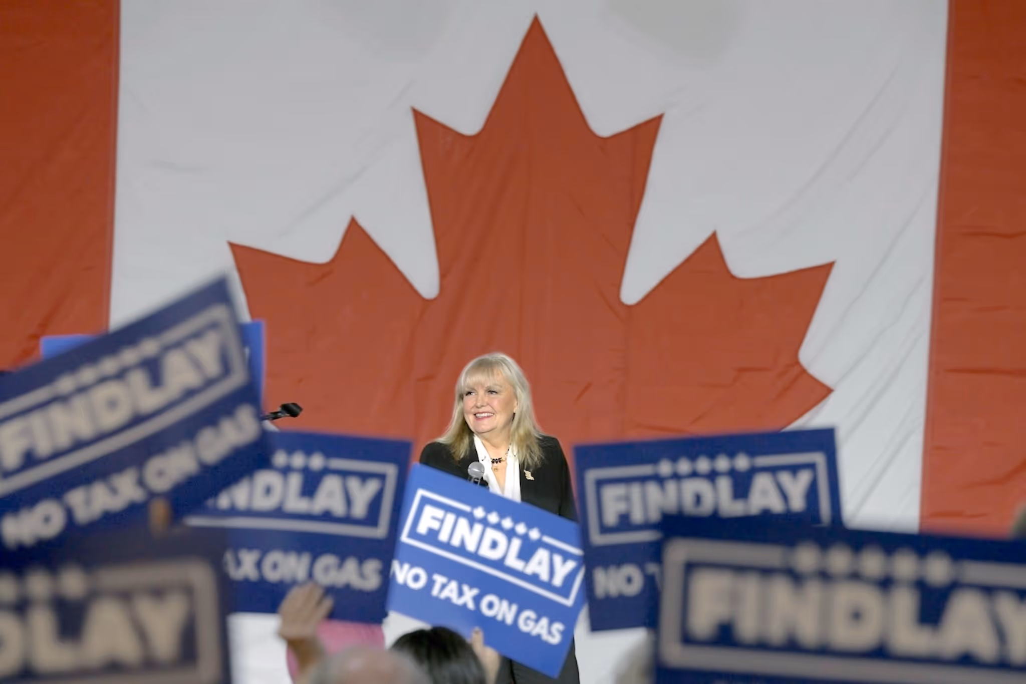 Kerry-Lynne Findlay resigns as BC Conservative leader amid party turmoil