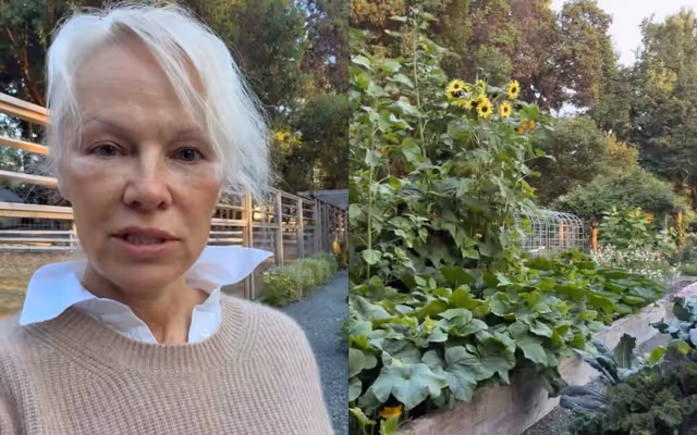 Pamela Anderson wows with views of 'magical' B.C. garden
