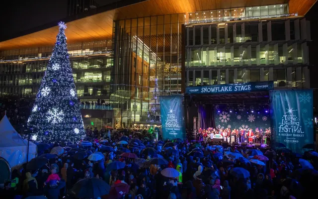 Free Surrey holiday festival returns with 60-foot tree and outdoor ice skating