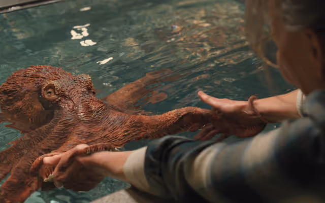 Vancouver Aquarium's giant Pacific octopus stars in new Netflix film
