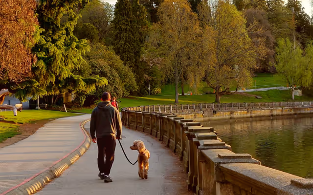Vancouver named Canada's best city for an activity that all dogs love