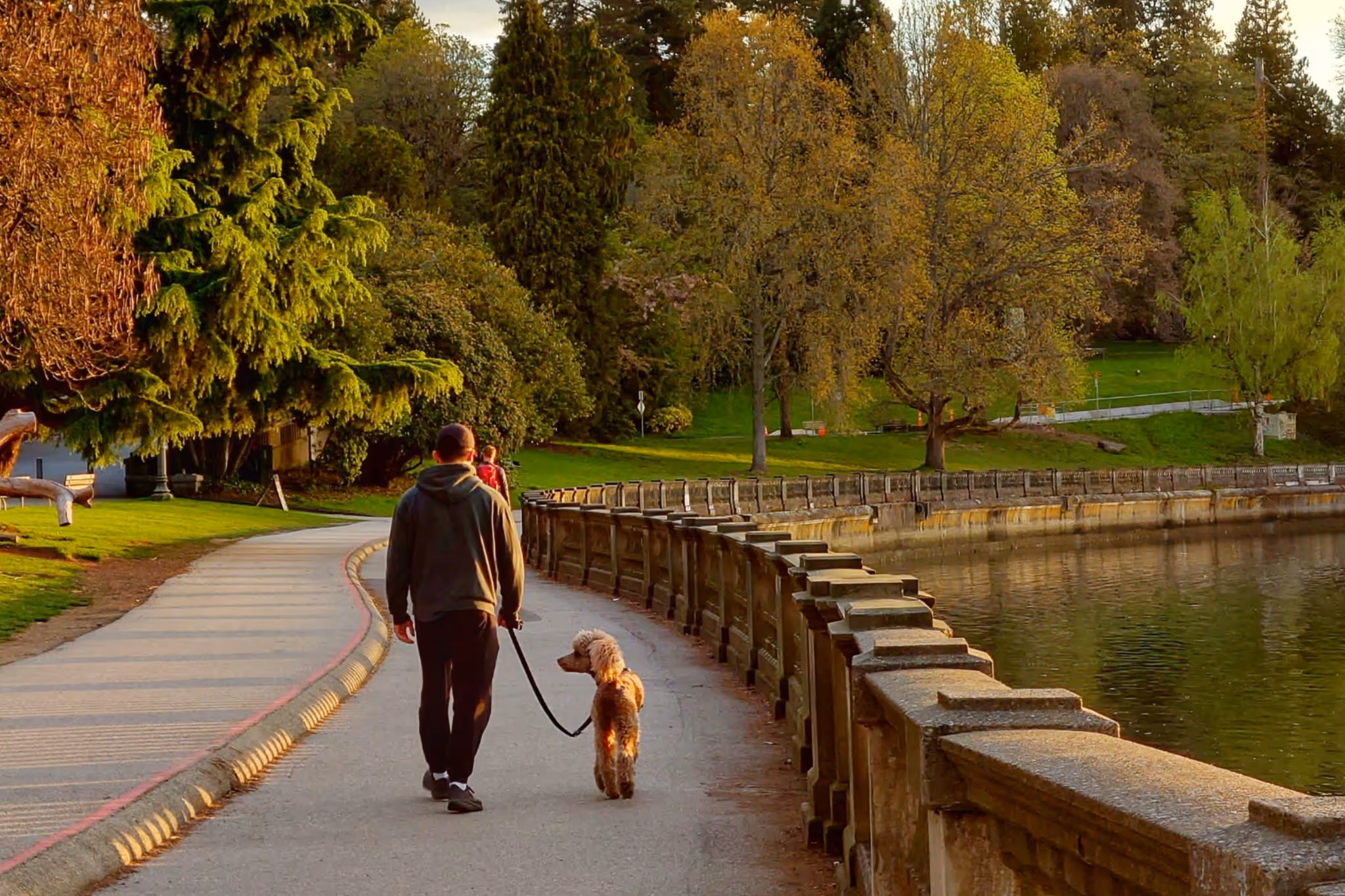 Vancouver named Canada's best city for an activity that all dogs love