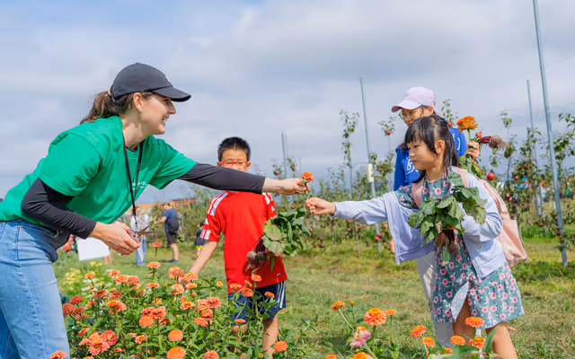 More than 20 FREE and cheap things to do in Vancouver this September