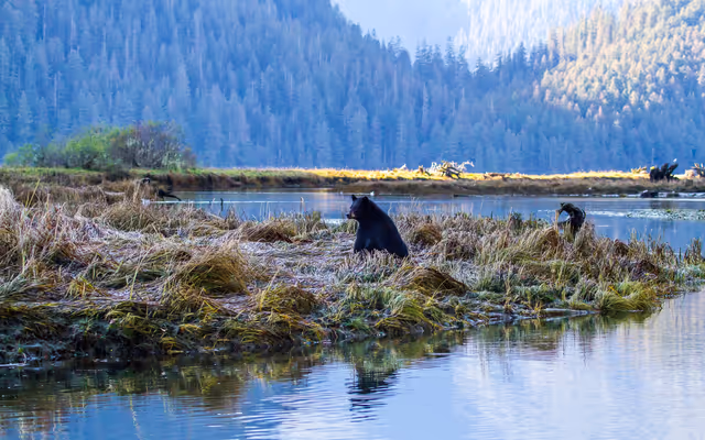 'Larger than Belgium': Wild B.C. area named among seven world wonders to visit this year