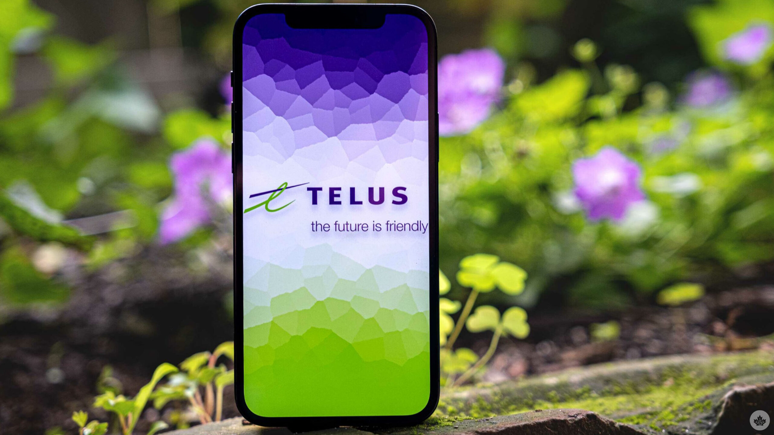 Telus reportedly heads to court over $15 SIM fee battle