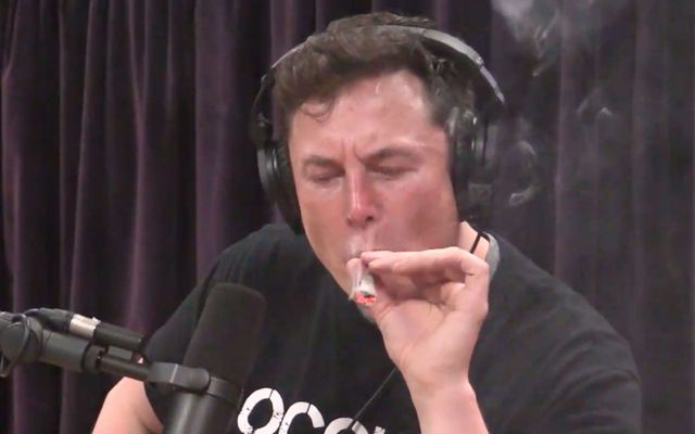 Elon Musk is tweeting about Alberta, Quebec separatism