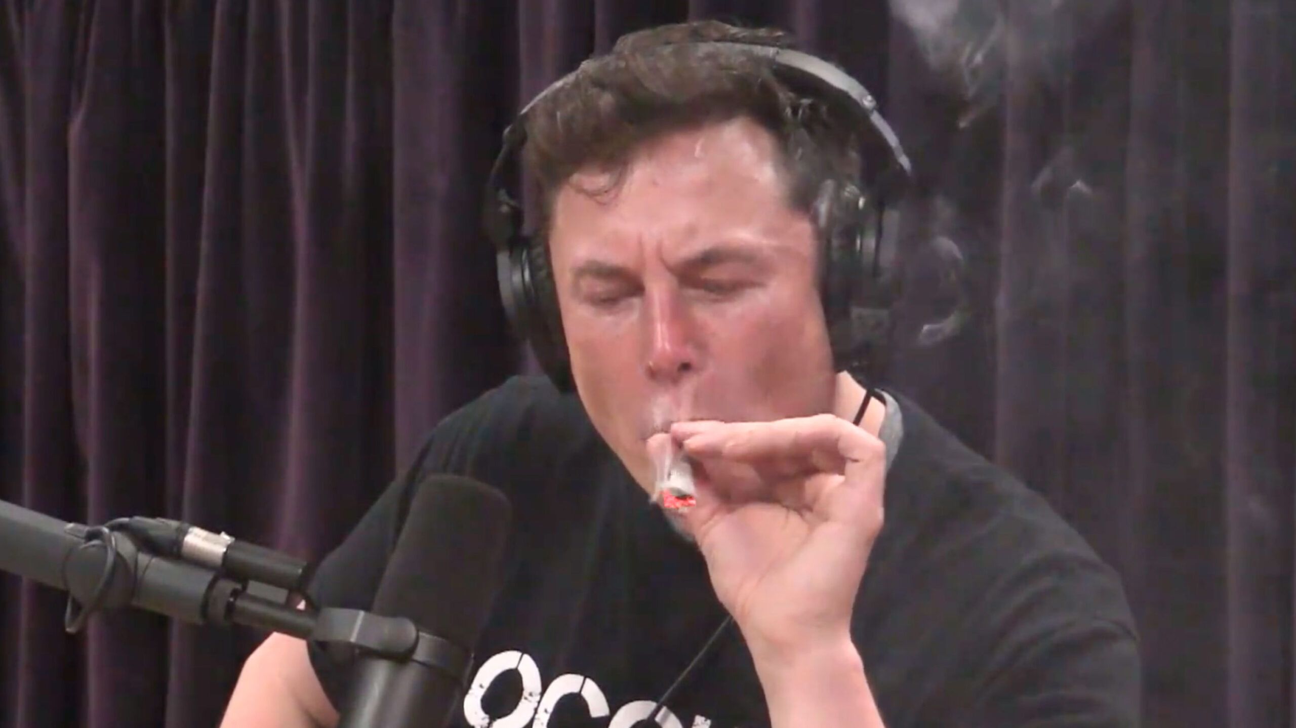 Elon Musk is tweeting about Alberta, Quebec separatism
