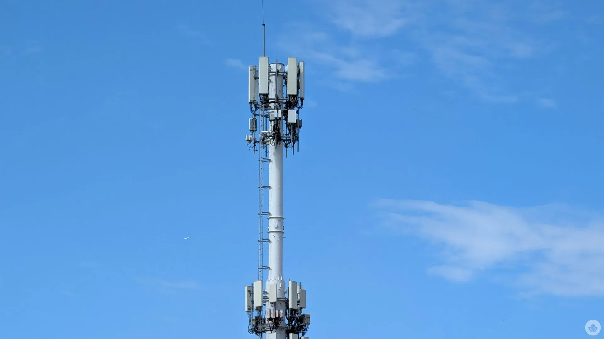 CRTC confirms Rogers, Telus, completed broadband projects in Ontario, B.C.