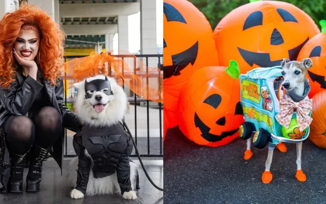 Pup, set, strut: Howl’oween at The Bentway is back for dogs to compete for best dressed on the dog-way