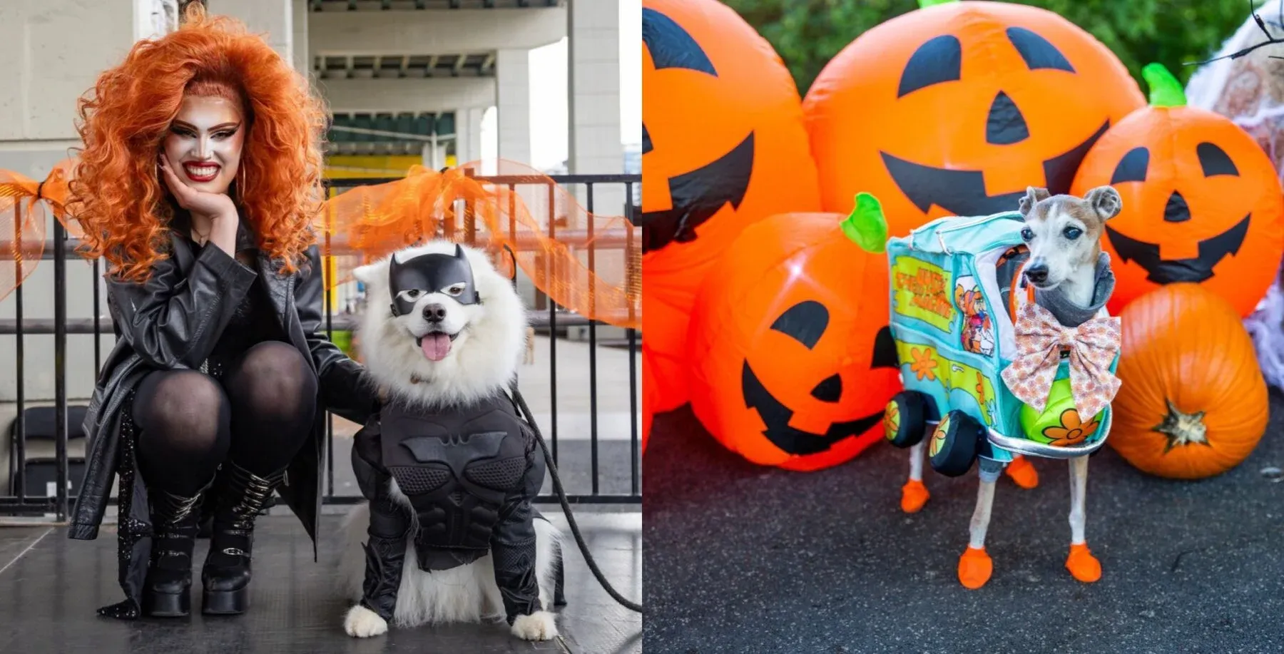 Pup, set, strut: Howl’oween at The Bentway is back for dogs to compete for best dressed on the dog-way