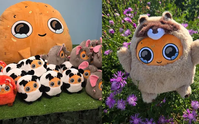 ‘The next Labubu?’ Sad Nuggie plush toys arrive at the Eaton Centre and Torontonians are all in on the craze