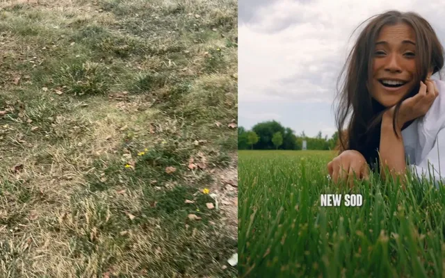 ‘Does that look green to you?’: VELD festivalgoers say Downsview Park grass is still dry despite organizers’ improveme…