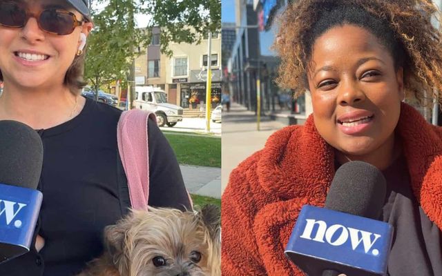 ‘It’s not feasible anymore with the economy’: Toronto locals on choosing pets over having kids