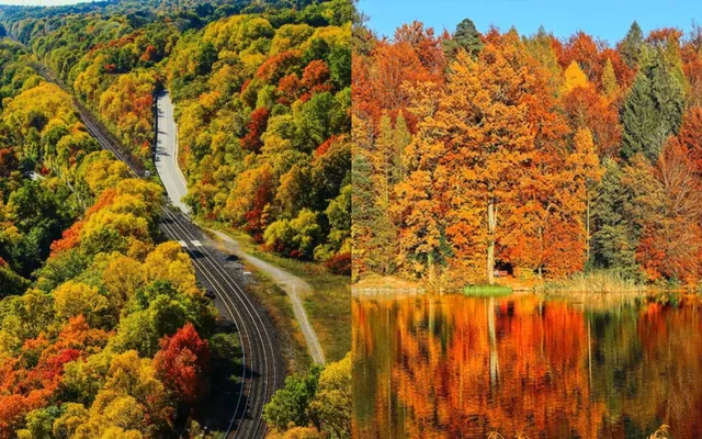 6 road trips in southwestern Ontario to welcome the autumn season