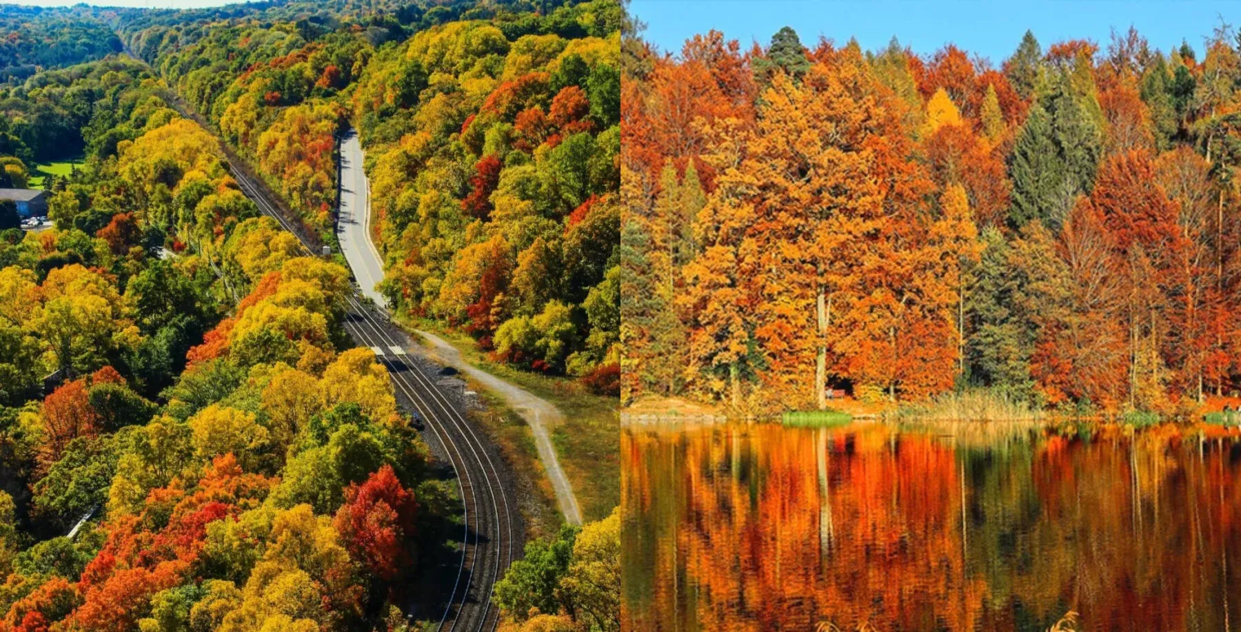 6 road trips in southwestern Ontario to welcome the autumn season