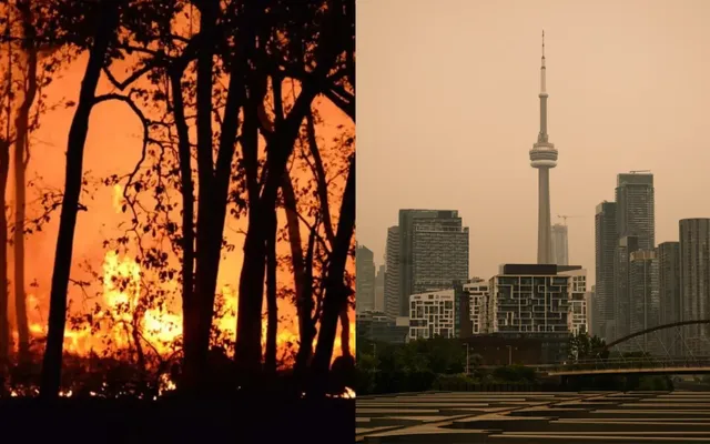 Ontario has spent more than $84B on wildfire smoke. See how much every province has lost