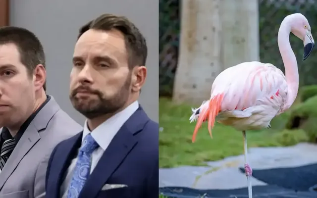 Ontario man charged with animal cruelty after stealing flamingo on a Las Vegas bender