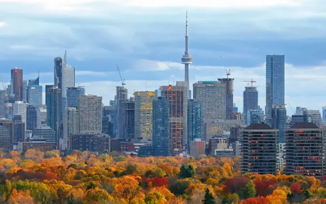 Planning to head out on Thanksgiving? Here’s what’s open and closed in Toronto