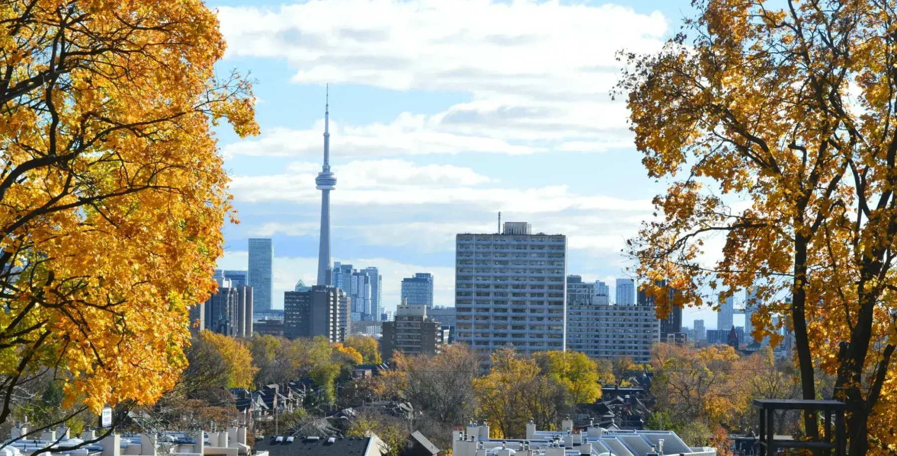 Ready for fall yet? Sunny skies and colder temperatures are coming to Toronto this weekend