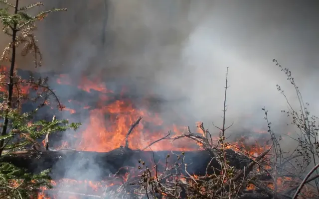 ‘We are done accepting apologies’: U.S. politicians demand action from Canada over wildfire smoke