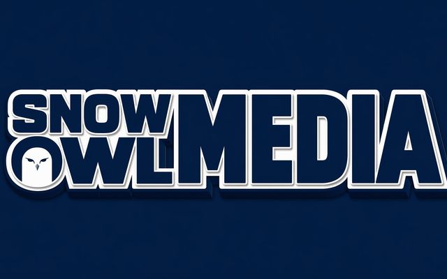 雪鸮新媒网 Snow Owl Media 横版品牌标识