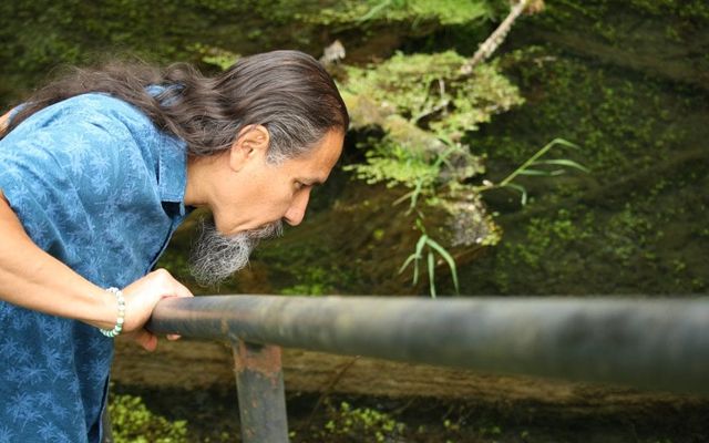 B.C. salmon are dying from a toxic tire chemical, 6PPD-Q