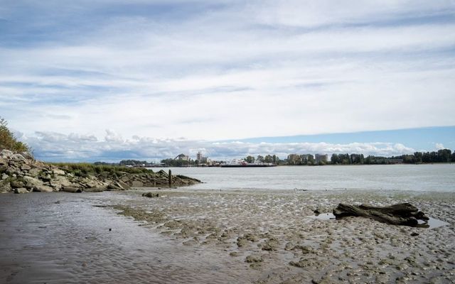 Major B.C. LNG expansion could come to Metro Vancouver